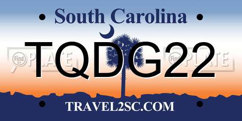 TQDG22 South Carolina License Plate