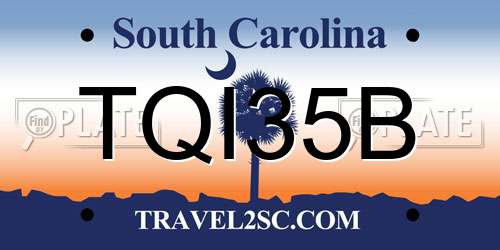 TQI35B South Carolina License Plate