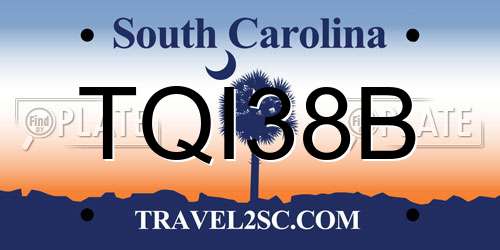 TQI38B South Carolina License Plate