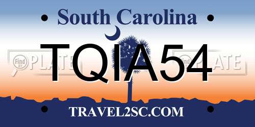 TQIA54 South Carolina License Plate