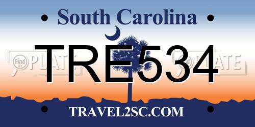 TRE534 South Carolina License Plate