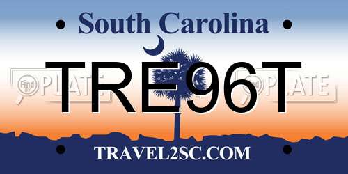 TRE96T South Carolina License Plate