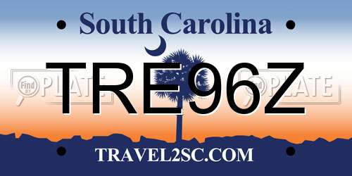 TRE96Z South Carolina License Plate