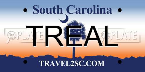 TREAL South Carolina License Plate