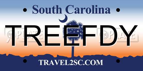 TREEFDY South Carolina License Plate