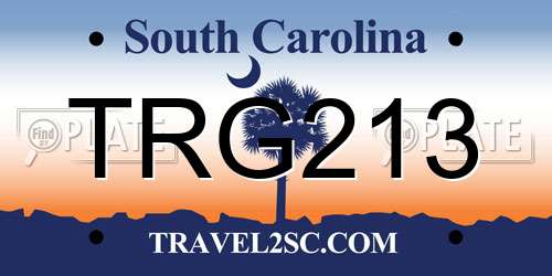 TRG213 South Carolina License Plate