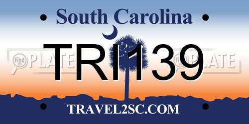 TRI139 South Carolina License Plate