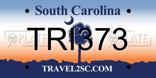 TRI373 South Carolina License Plate