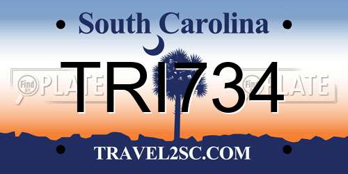 TRI734 South Carolina License Plate