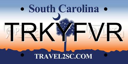 TRKYFVR South Carolina License Plate