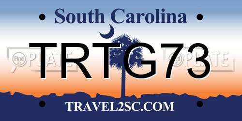 TRTG73 South Carolina License Plate
