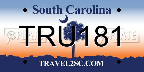 TRU181 South Carolina License Plate