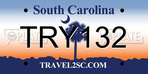 TRY132 South Carolina License Plate