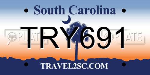 TRY691 South Carolina License Plate