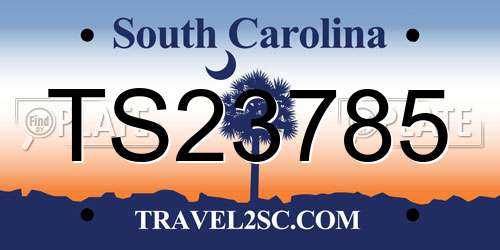 TS23785 South Carolina License Plate