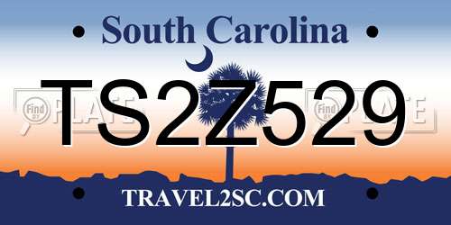 TS2Z529 South Carolina License Plate