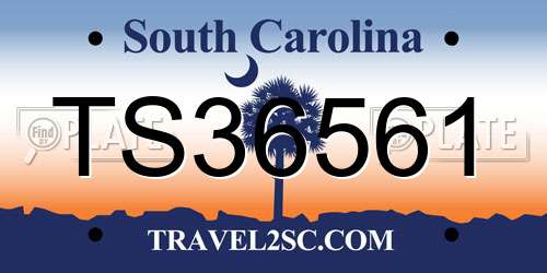 TS36561 South Carolina License Plate