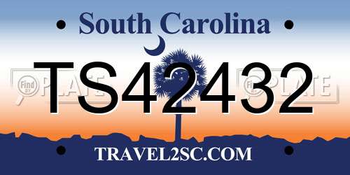 TS42432 South Carolina License Plate