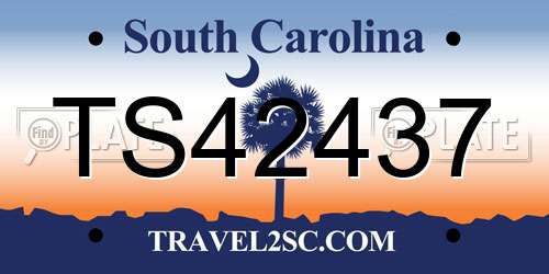 TS42437 South Carolina License Plate