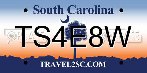 TS4E8W South Carolina License Plate