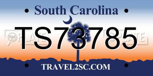 TS73785 South Carolina License Plate