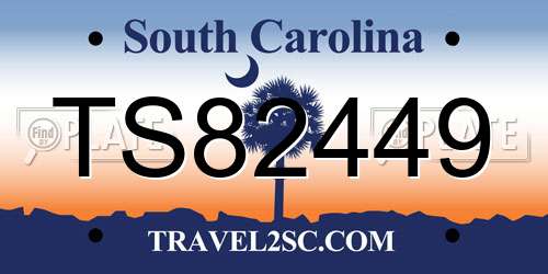 TS82449 South Carolina License Plate