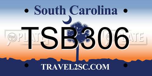 TSB306 South Carolina License Plate