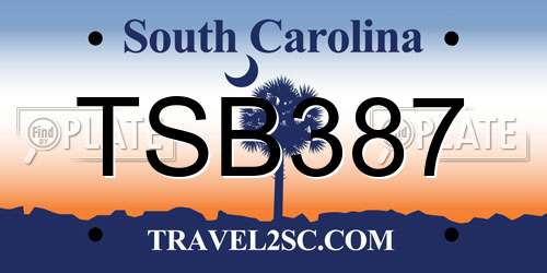 TSB387 South Carolina License Plate