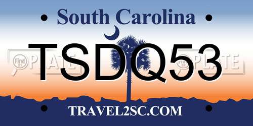 TSDQ53 South Carolina License Plate