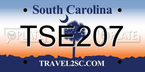 TSE207 South Carolina License Plate