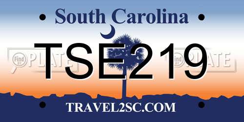 TSE219 South Carolina License Plate