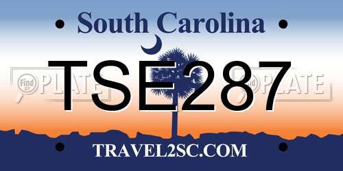TSE287 South Carolina License Plate