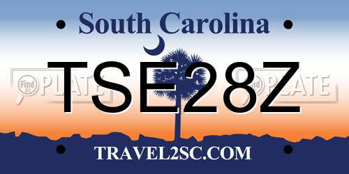 TSE28Z South Carolina License Plate