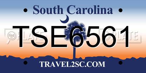 TSE6561 South Carolina License Plate