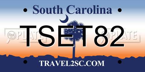 TSET82 South Carolina License Plate