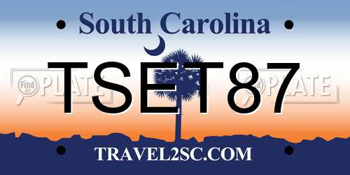 TSET87 South Carolina License Plate