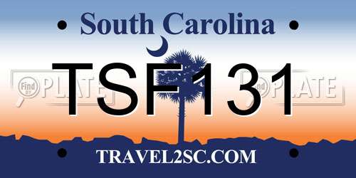 TSF131 South Carolina License Plate