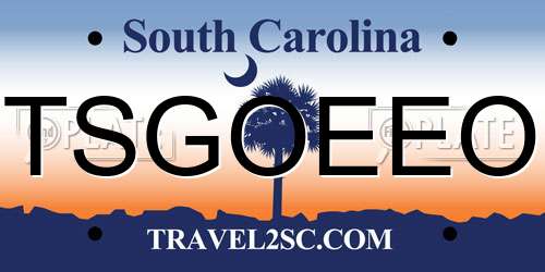 TSGOEEO South Carolina License Plate