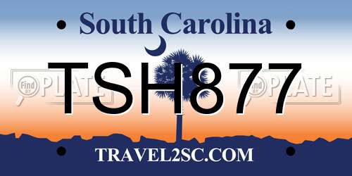 TSH877 South Carolina License Plate