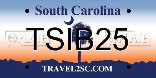 TSIB25 South Carolina License Plate