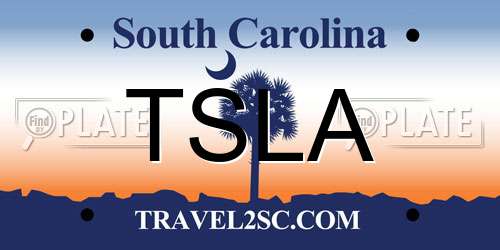 TSLA South Carolina License Plate