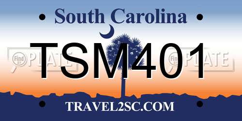 TSM401 South Carolina License Plate