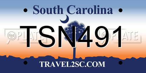 TSN491 South Carolina License Plate