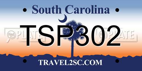 TSP302 South Carolina License Plate