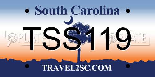 TSS119 South Carolina License Plate