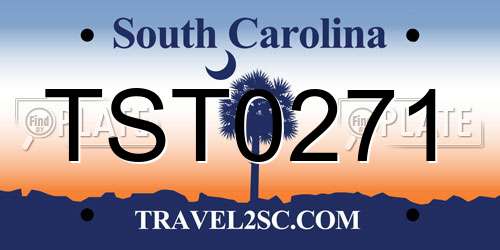 TST0271 South Carolina License Plate