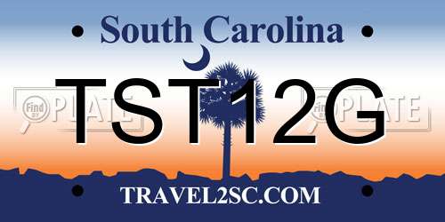 TST12G South Carolina License Plate
