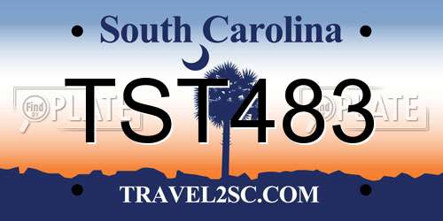 TST483 South Carolina License Plate