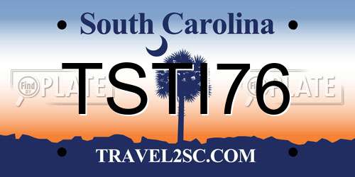 TSTI76 South Carolina License Plate