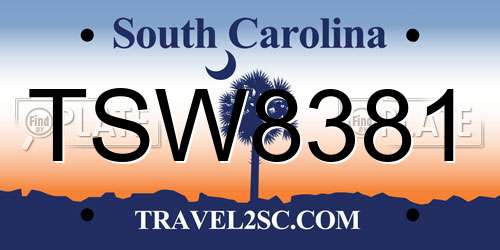 TSW8381 South Carolina License Plate